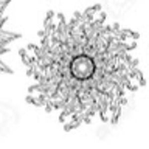 Meet your Posher, Ella